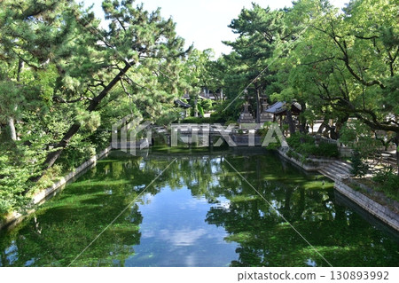大阪 神社寺院 住吉大社 130893992