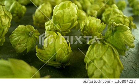 Hop plants detail macro, extreme closeup, placed on stone table. Beer production ingredients simple concept, nobody. Harvest and before beer brewing concept. 130894228