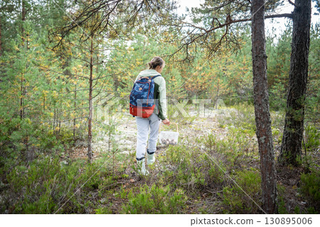 Traveler woman with backpack gathering mushrooms into basket while walking along forest edges 130895006
