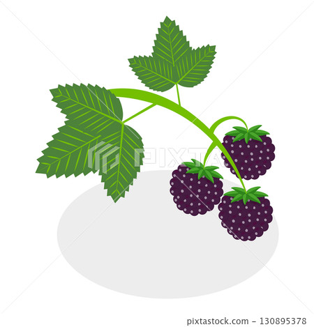 3D Isometric Flat  Set of Berries. Item 14 130895378