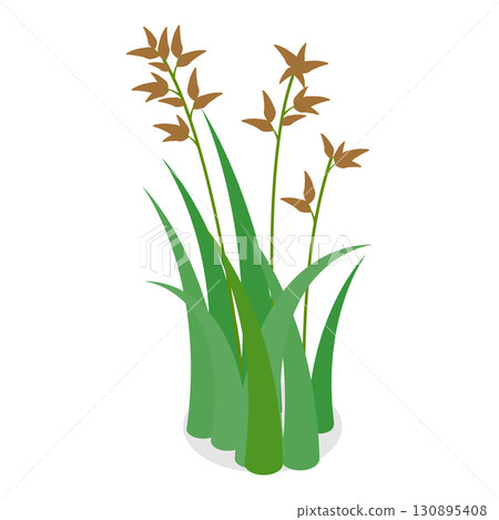 3D Isometric Flat  Set of Lake Aquatic Plants. Item 6 130895408