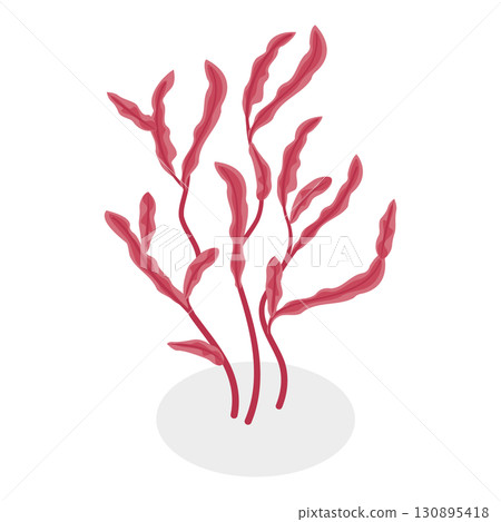 3D Isometric Flat  Set of Seaweeds. Item 4 130895418