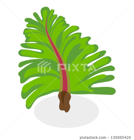 3D Isometric Flat  Set of Seaweeds. Item 6 130895420