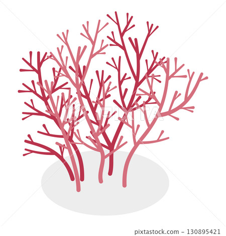 3D Isometric Flat  Set of Seaweeds. Item 7 130895421