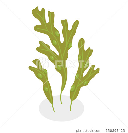 3D Isometric Flat  Set of Seaweeds. Item 9 130895423