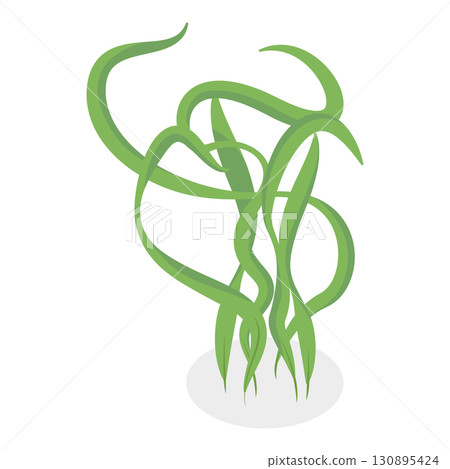 3D Isometric Flat Set of Seaweeds. Item 10 3D Isometric Flat Set of Seaweeds. Item 10 130895424