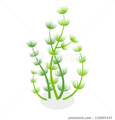 3D Isometric Flat  Set of Seaweeds. Item 11 130895425