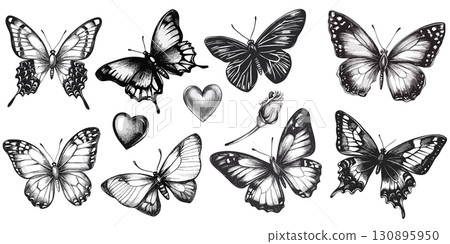Realistic Black and White Butterfly and Heart Illustrations 130895950