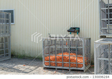 [Hokkaido: Washing carrots] 130896284