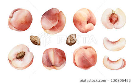 Peach Summer Juicy Ripe Fruit Seed. Watercolor hand drawn floral food illustration set isolated on white background for home kitchen textile fresh fabric print card cosmetic package porcelain crockery 130896453