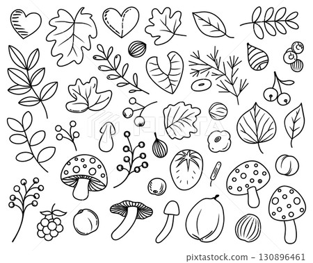 Autumn and Fall Doodles Set. Hand-drawn Forest Elements with Leaves and Mushrooms for Coloring. 130896461