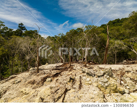 Volcanic landscape with withered trees after a volcanic eruption in the jungle. Weh Island. Indonesia. 130896630