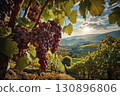 Ripe grapes on a vine in a picturesque vineyard during a golden sunset, symbolizing winemaking and autumn harvest. 130896806