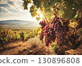 Picturesque view of a vineyard with a large bunch of grapes on a sunny autumn day. 130896808