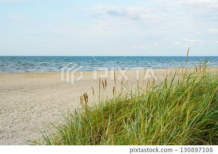 Sandy beach with coastal dune grass and gentle sea waves under blue sky on a peaceful summer day 130897108