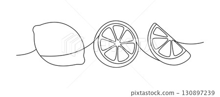Minimal line drawing of lemons. Single-line contour of whole fruit and slices in abstract lemon composition 130897239