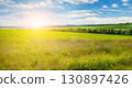 A Beautiful Landscape Of Green Fields With The Sun Casting A Warm And Vibrant Glow On The Grass. 130897426