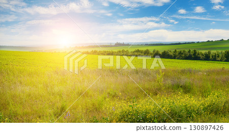 A Beautiful Landscape Of Green Fields With The Sun Casting A Warm And Vibrant Glow On The Grass. 130897426