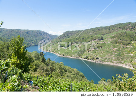 Vineyards landscape from Ribeira Sacra wine area, Galicia, Spain Vineyards landscape from Ribeira Sacra wine area, Galicia, Spain 130898529