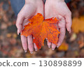 Female hands gently holding a bright orange maple leaf, symbol of autumn, nature beauty, and seasonal change 130898899