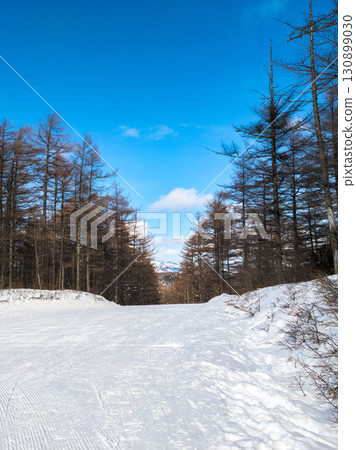樹木環繞的平緩森林路線（長野縣東禦市、群馬縣嬬戀村、湯之丸高原） 130899030