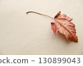 Autumn background. Falling Autumn Leaf. 130899043