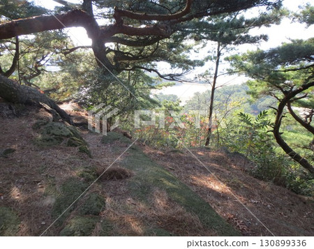 2014, Kagawa, Kannonji, Yahata, Landscape, Kotobiki Park, Part 31 130899336