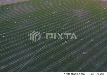 Grass bale, grass storage in La Pampa countryside, Patagonia,Argentina. Grass bale, grass storage in La Pampa countryside, Patagonia,Argentina. 130899381