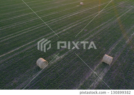 Grass bale, grass storage in La Pampa countryside, Patagonia,Argentina. Grass bale, grass storage in La Pampa countryside, Patagonia,Argentina. 130899382