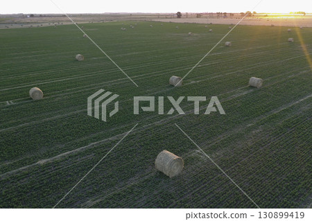 Grass bale, grass storage in La Pampa countryside, Patagonia,Argentina. Grass bale, grass storage in La Pampa countryside, Patagonia,Argentina. 130899419