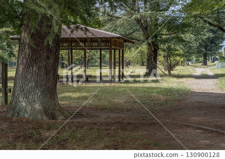 公園風景,有大松樹和東邊的房屋 公園風景,有大松樹和東邊的房屋 130900128