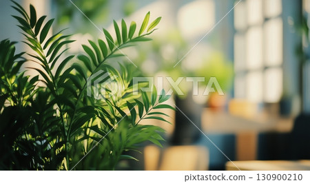 Lush Greenery Fills a Bright Indoor Space With Natural Light During Afternoon Hours. 130900210