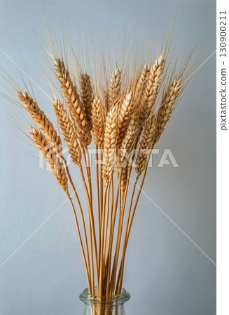 Dried Wheat Stalks Arranged in a Decorative Bouquet Against a Light Background. 130900211