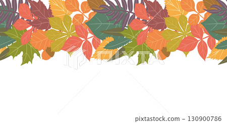 Fall seasonal background with long horizontal border made of autumn golden, red and orange colored leaves isolated on background 130900786