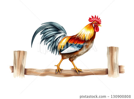 Watercolor vector illustration a rooster. 130900808