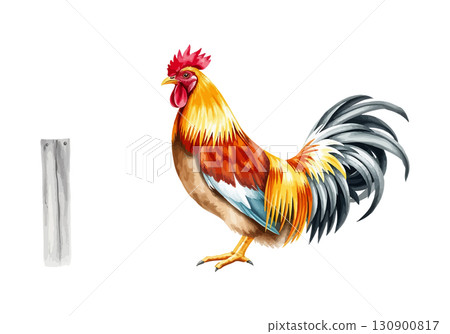 Watercolor vector illustration a rooster. 130900817