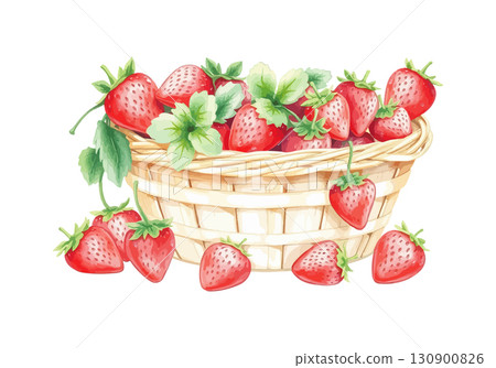 Watercolor vector illustration of a basket of strawberries. Watercolor vector illustration of a basket of strawberries. 130900826