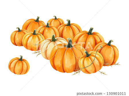 Watercolor vector illustration a pumpkin. Watercolor vector illustration a pumpkin. 130901011