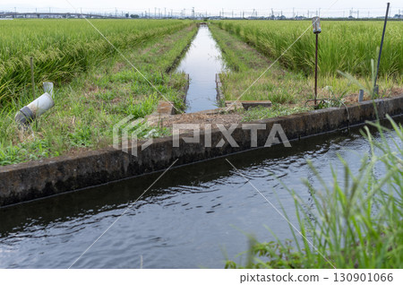 Summer rural landscape with irrigation channels 130901066
