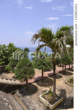 Park with palm trees on a mountainside on the South China Sea in Vietnam 130901421