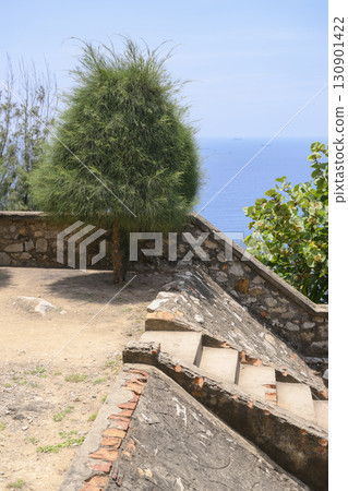 A park with a stone staircase and a thuja shrub on a mountainside in South China Sea in Vietnam A park with a stone staircase and a thuja shrub on a mountainside in South China Sea in Vietnam 130901422