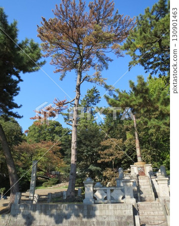 2014, Kagawa, Kannonji, Yahata, Landscape, Kotobiki Park, Part 47 130901463