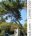 2014年，香川縣，觀音寺，八幡，風景，琴引公園，第48部分 130901500