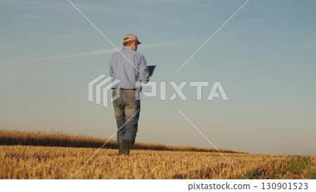 Farmer analyzing data on a tablet in a wheat field, Modern agriculture with digital technology, Checking wheat growth with a digital device, Using technology to enhance farming efficiency, Farmer Farmer analyzing data on a tablet in a wheat field, Modern agriculture with digital technology, Checking wheat growth with a digital device, Using technology to enhance farming efficiency, Farmer 130901523