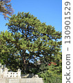 2014年，香川縣，觀音寺，八幡，風景，琴引公園，第49部分 130901529