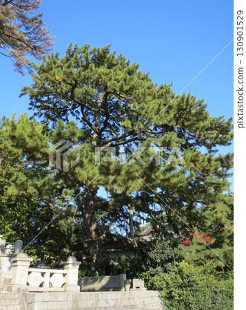 2014年,香川縣,觀音寺,八幡,風景,琴引公園,第49部分 2014年,香川縣,觀音寺,八幡,風景,琴引公園,第49部分 130901529