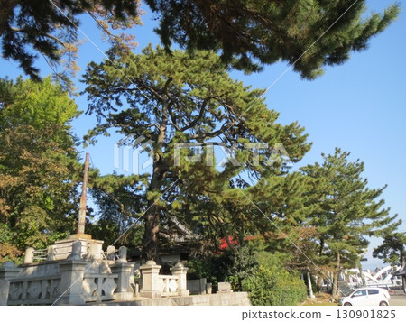 2014年,香川縣,觀音寺,八幡,風景,琴引公園,第51部分 2014年,香川縣,觀音寺,八幡,風景,琴引公園,第51部分 130901825