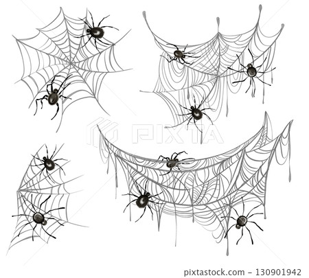 Watercolor spider webs and spiders set. Hand drawn clipart with isolated elements for Halloween, decoration, party, horror design, nature illustration, creepy symbol, insect network. Watercolor spider webs and spiders set. Hand drawn clipart with isolated elements for Halloween, decoration, party, horror design, nature illustration, creepy symbol, insect network. 130901942