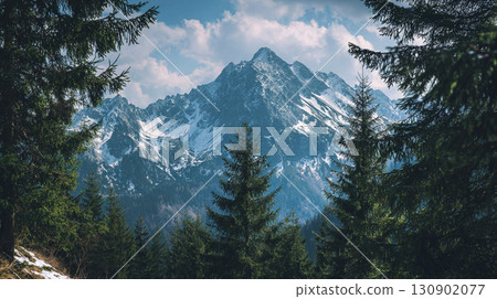 美麗的雪山和森林全景背景 130902077