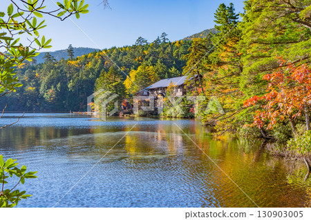 《長野縣》白米池、湖畔紅葉、白米草 130903005